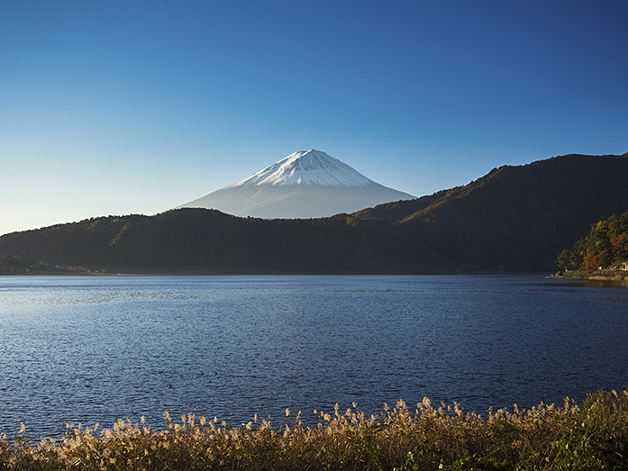 Lake Saiko part of Fuji Five Lakes