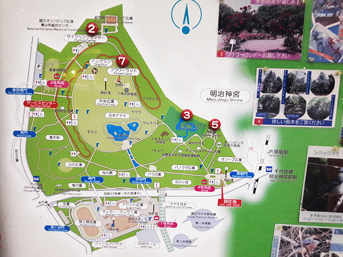 Map of Yoyogi Park in Tokyo