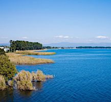 Lake Biwa Activities