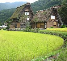 Local guide in Shirakawago