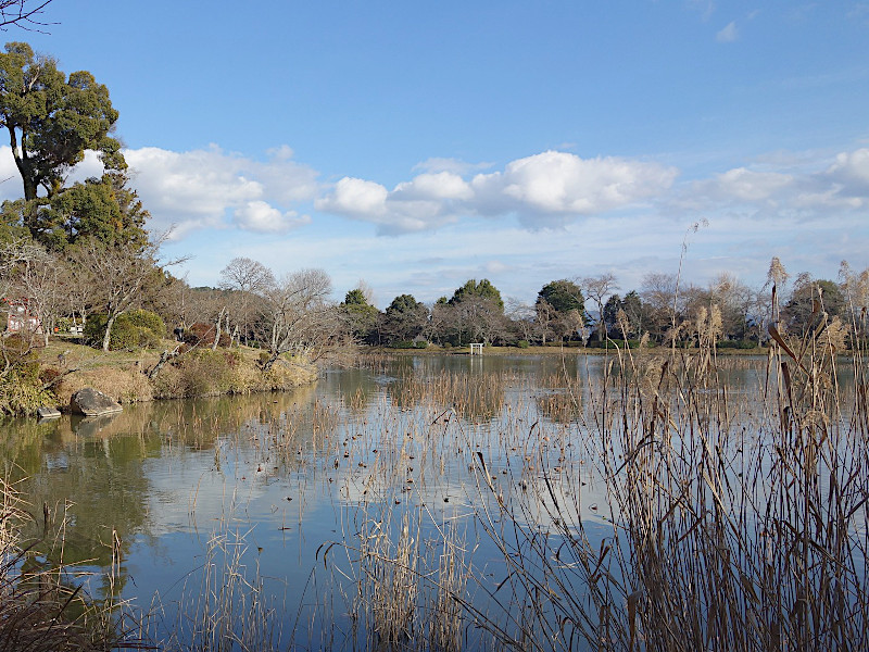 Daikakuji Temple Osawa Pond in Kyoto