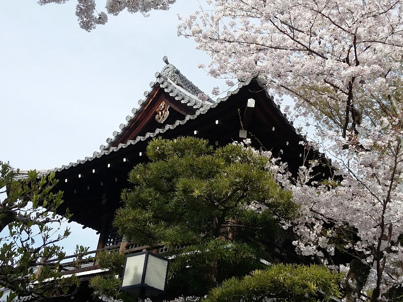 Daiunin Temple with Belfry in Kyoto