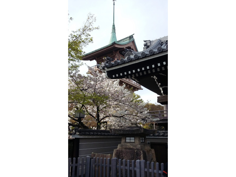 Daiunin Temple with Gion-kaku and South Gate in Kyoto