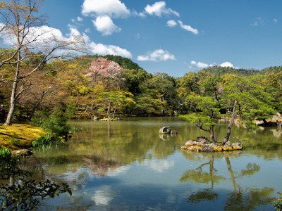 Garden of Kinkaku-ji Temple Golden Pavilion in Kyoto