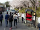 Nene-no-Michi Lane in Kyoto