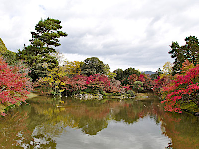 Kitaike Pond of Sento Imperial Palace in Kyoto