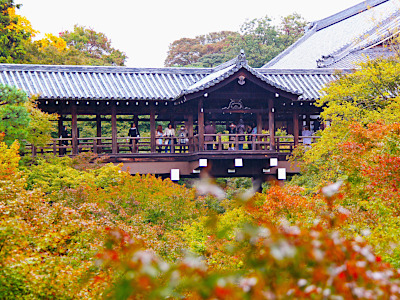 Tsutenkyo Bridge during autumn Tofukuji Temple in Kyoto