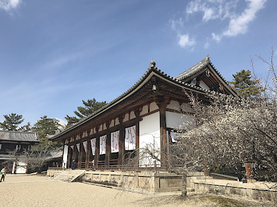 Dai-koudo Hall or the Great Lecture Hall of Horyuji Temple in Nara